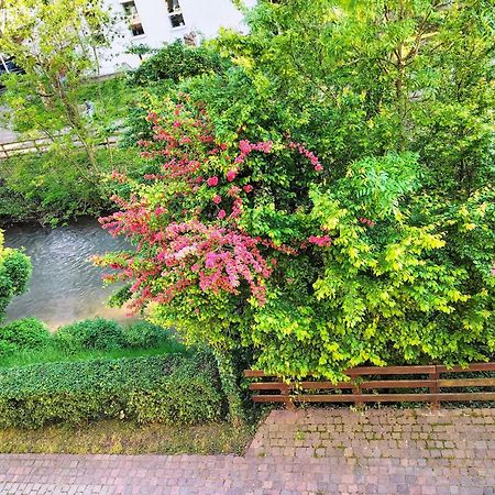 Alte Stadtmauer - Apartment Sinsheim Esterno foto