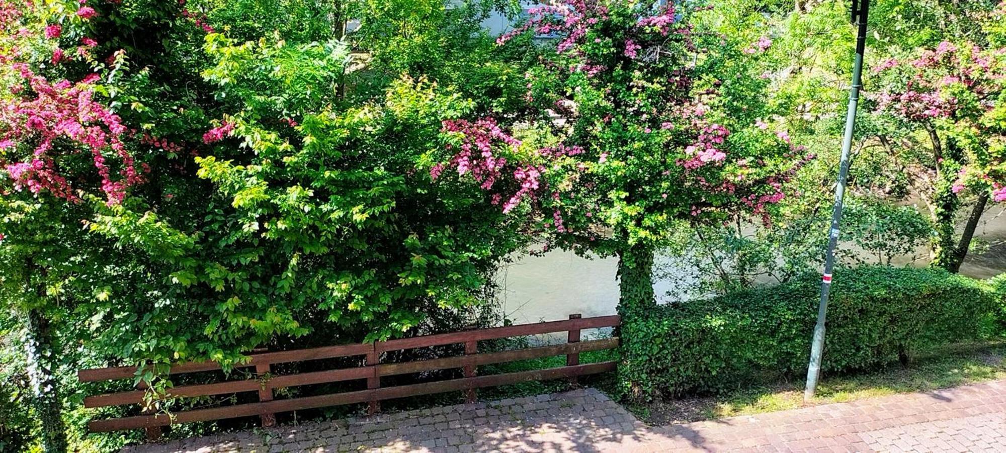 Alte Stadtmauer - Apartment Sinsheim Esterno foto