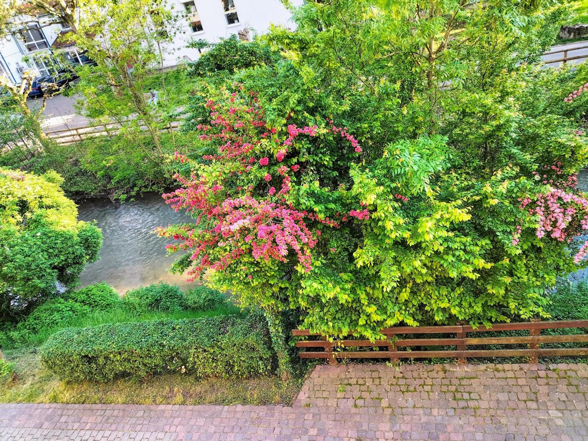 Alte Stadtmauer - Apartment Sinsheim Esterno foto